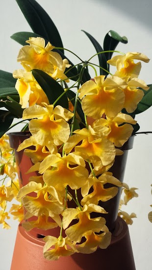 20140222_113128.jpg