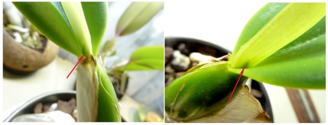 Coś się kluje1.jpg