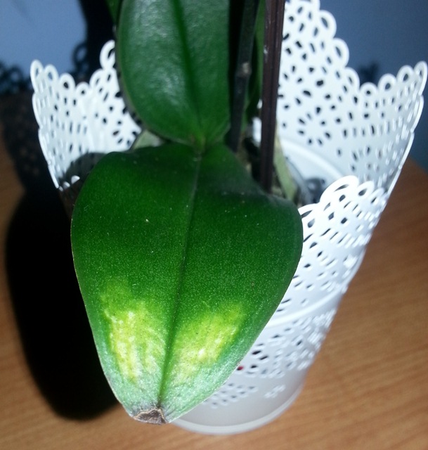 20140515_180207.jpg