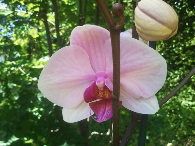 2014-06-11 11.35.30.jpg