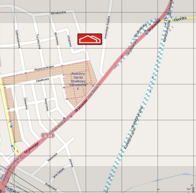 Marcin Kaczmarski Dni Orchidei 2014.JPG