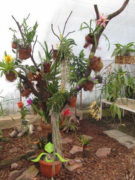 021 (kopiowanie).JPG