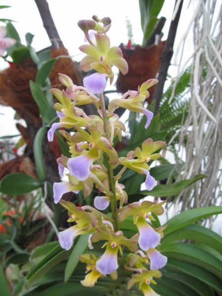 023 (kopiowanie).JPG