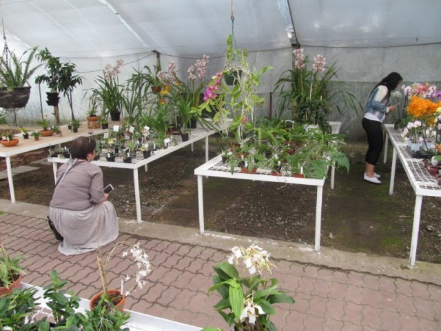 027 (kopiowanie).JPG