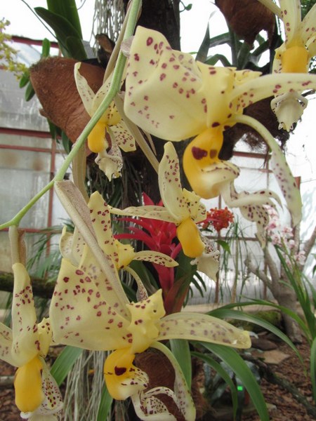 028 (kopiowanie).JPG