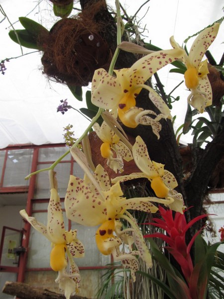 030 (kopiowanie).JPG