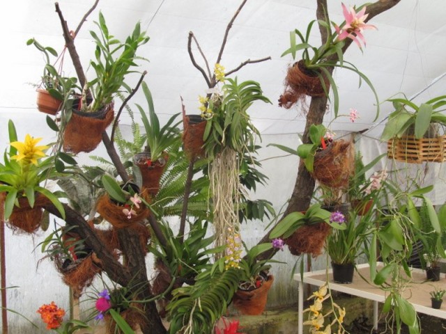 037 (kopiowanie).JPG