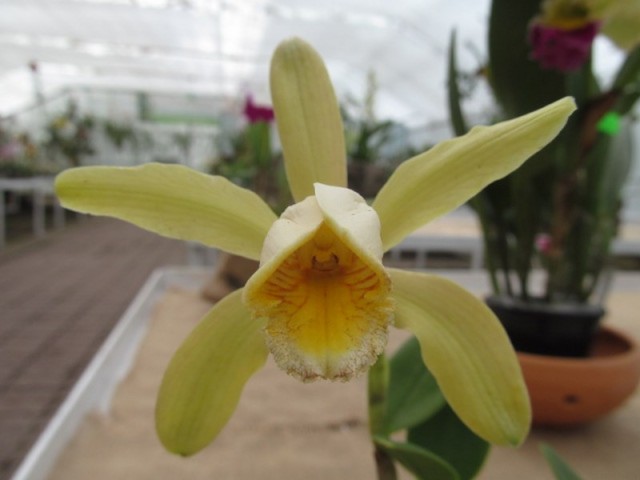 040 (kopiowanie).JPG