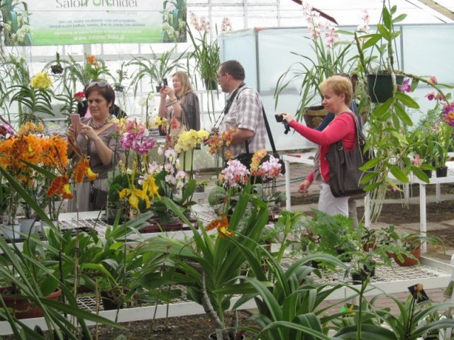 075 (kopiowanie).JPG