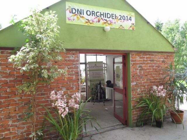 080 (kopiowanie).JPG