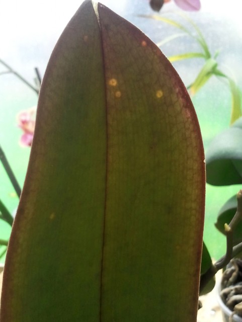 2014-06-21 14.17.54.jpg