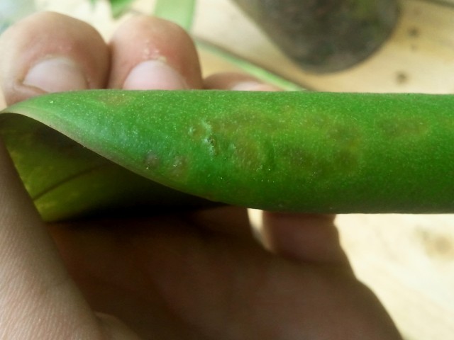 2014-06-21 14.17.19.jpg