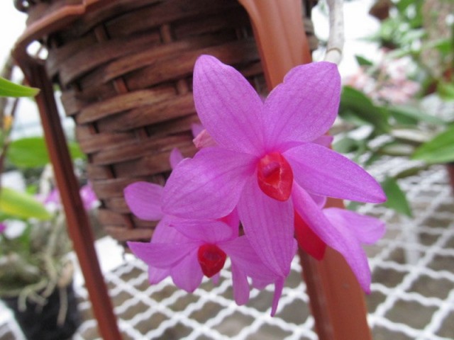 005 (kopiowanie).JPG