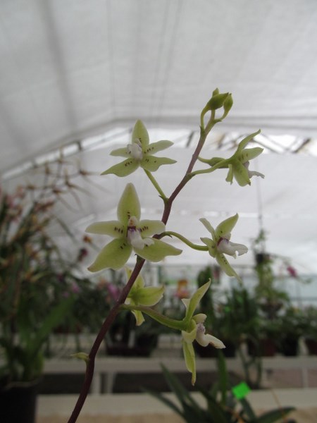 055 (kopiowanie).JPG