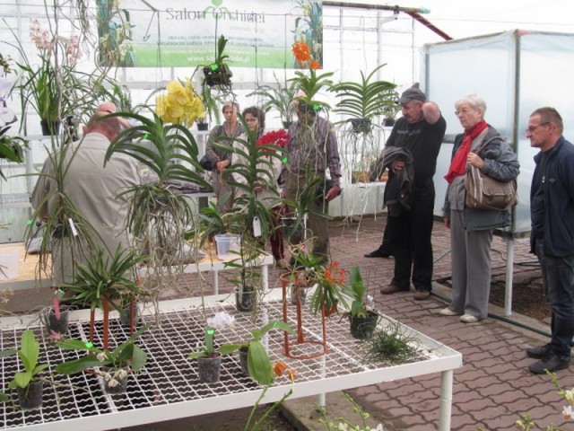 040 (kopiowanie).JPG