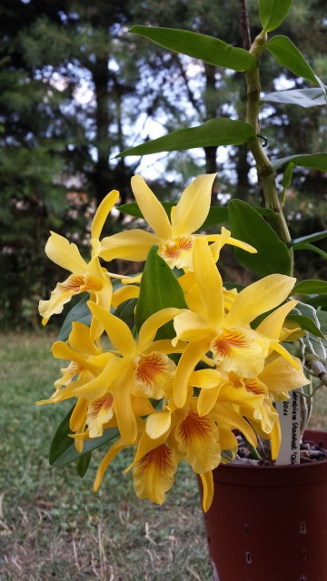 20140731_162152 (1).jpg