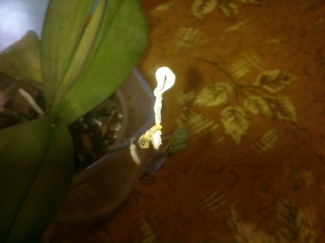 2014-09-01 12.49.58.jpg