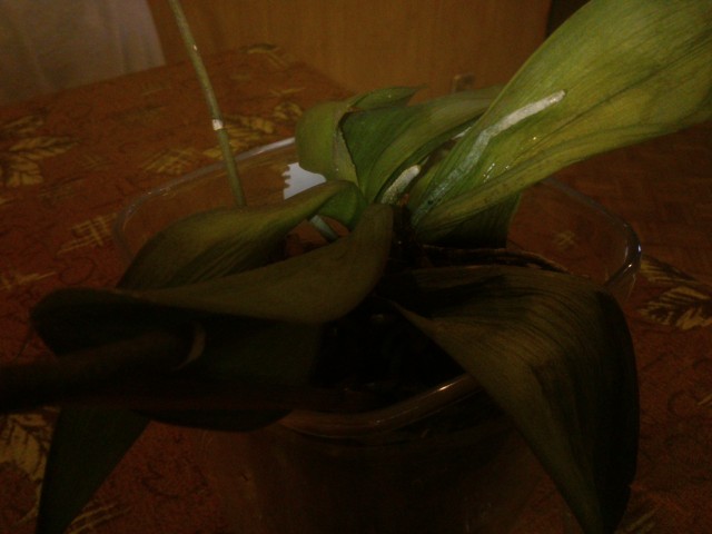 2014-09-01 12.50.37.jpg