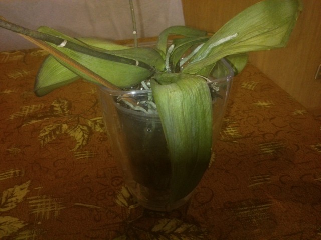 2014-09-01 12.51.19.jpg