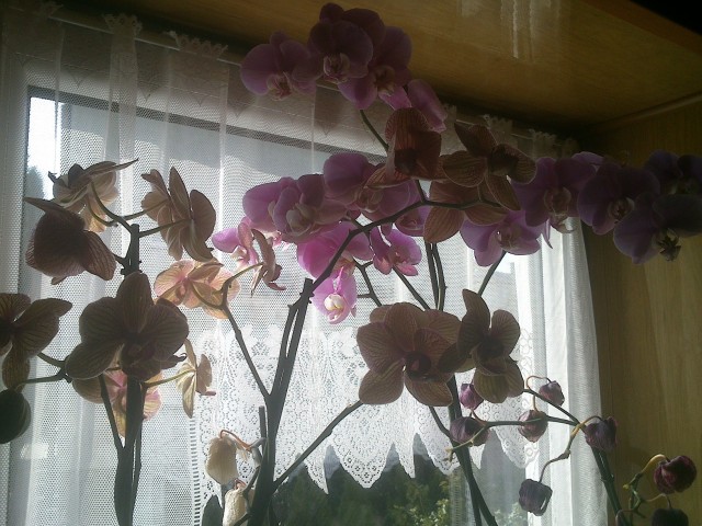 2014-09-03 10.08.35.jpg