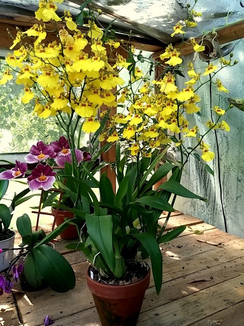 2014-09-05 14.06.28.jpg