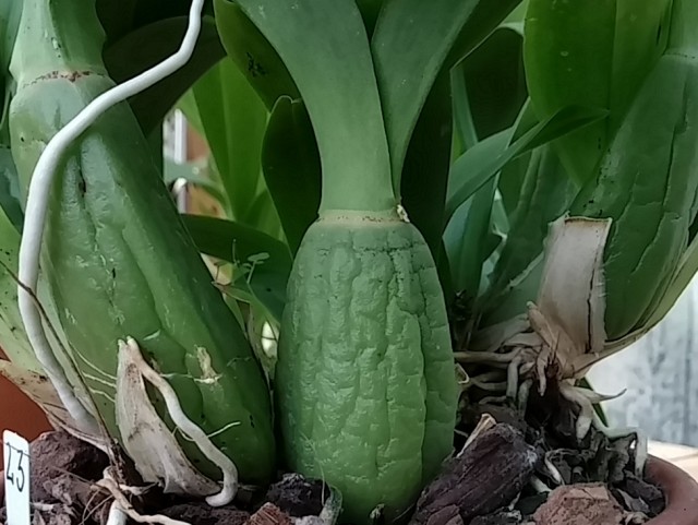 2014-09-05 14.06.36.jpg