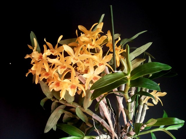 2014-01-13 11.21.32.jpg