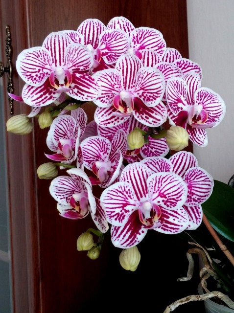 2014-08-12 12.40.46.jpg