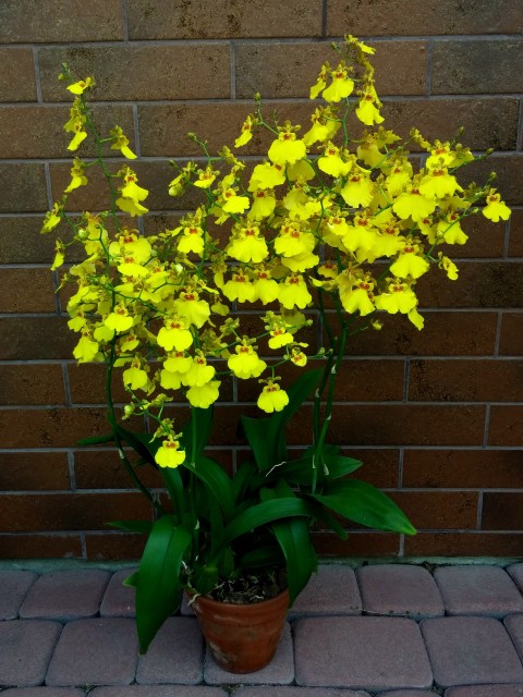 2014-09-12 13.37.26.jpg