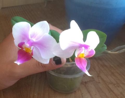 zdjęcie dzięki uprzejmości Basi.jpg