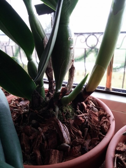 2014-12-23 10.00.50.jpg