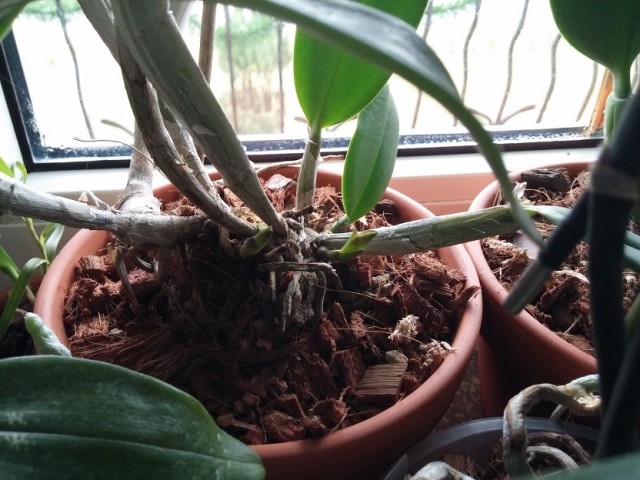 2014-12-23 10.03.04.jpg