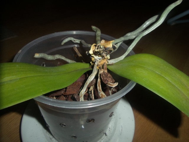 2015-01-05 23.14.27.jpg