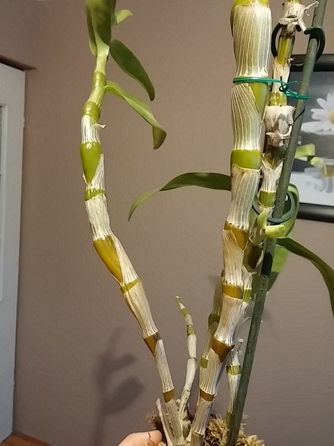 2015-01-07 15.40.43.jpg