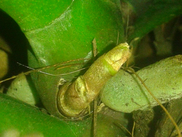 20150127_164738.jpg