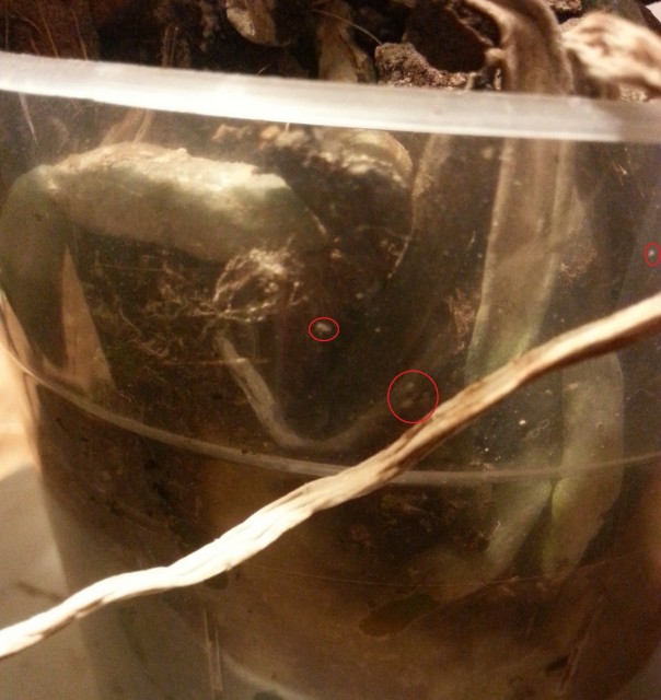 20150504_235209.jpg