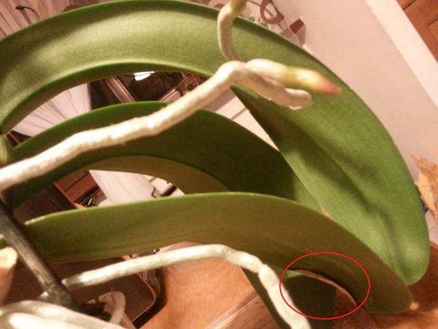 20150504_235656.jpg