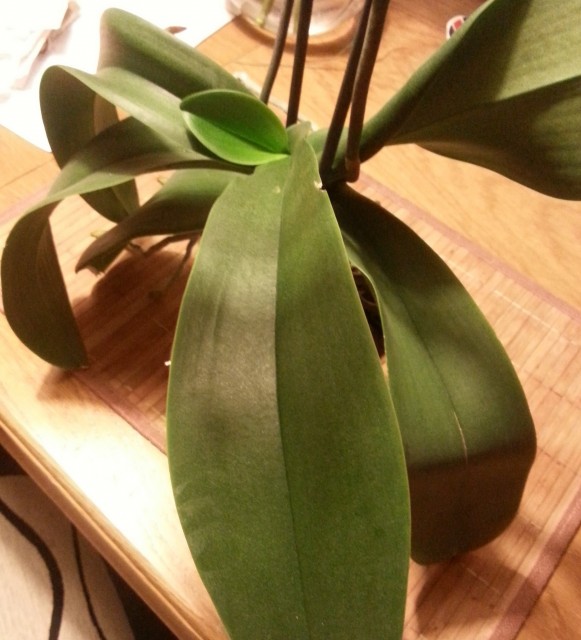 20150504_235529.jpg