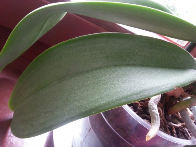 20150506_092447.jpg