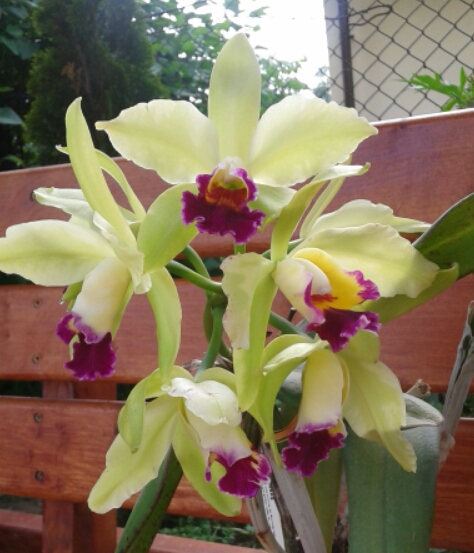 2015-06-04 08.27.51.jpg