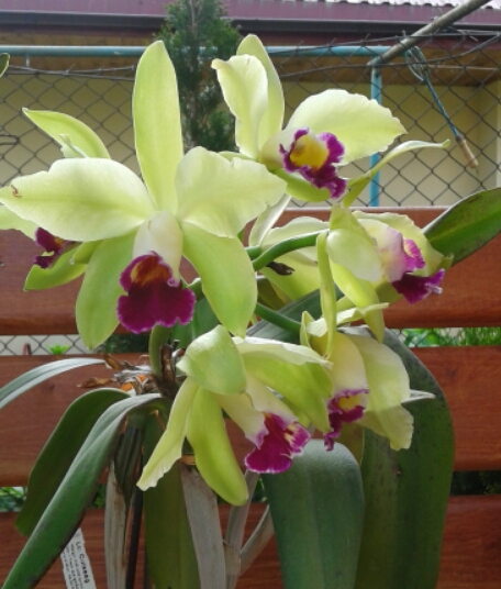 2015-06-04 08.27.20.jpg