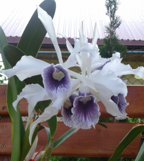 2015-06-04 12.28.29.jpg