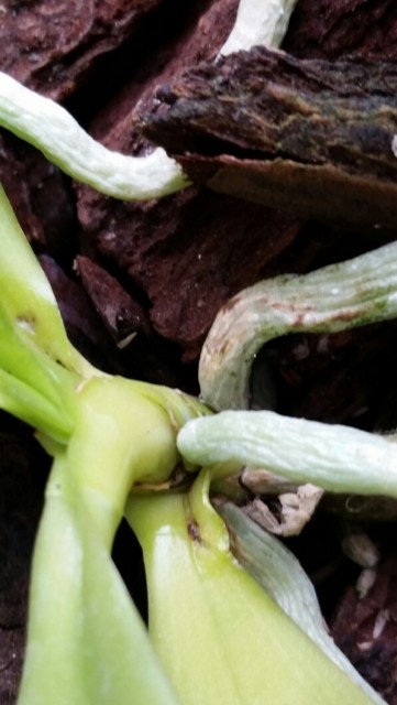 2015-06-18 17.07.25.jpg