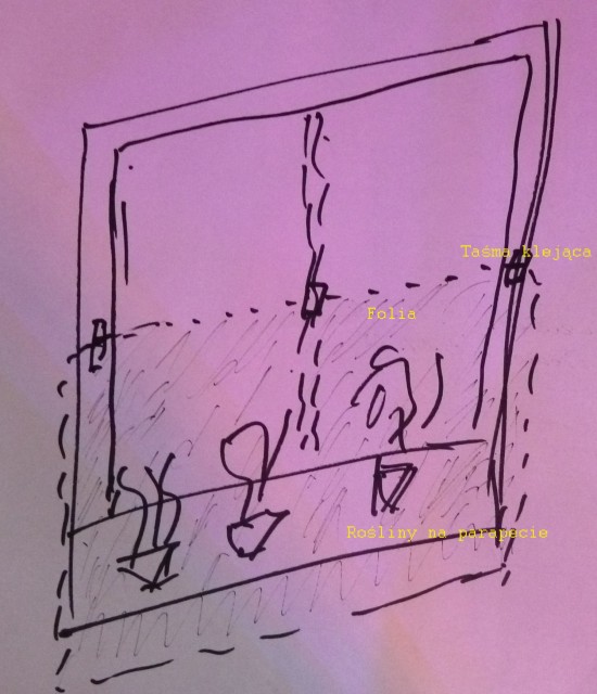 Szkic okna z roślinami pod namiotem.jpg