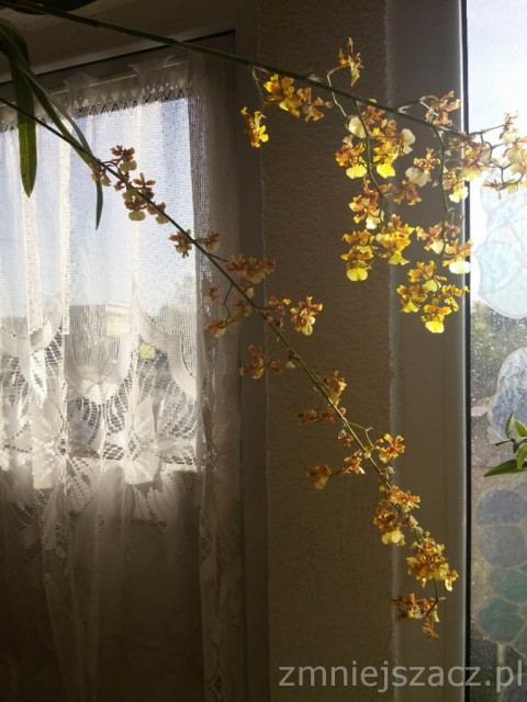 20150617_184717 (1).jpg