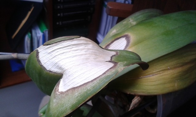 20150714_075454.jpg