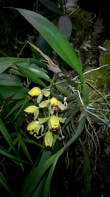 WP_20150715_010 kopia.jpg