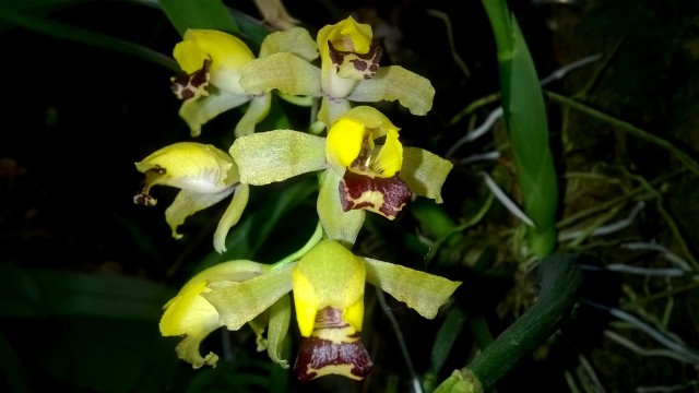 WP_20150715_006 kopia.jpg