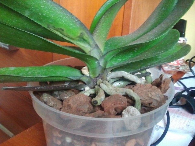 2015-08-25 10.14.46 (Kopiowanie).jpg