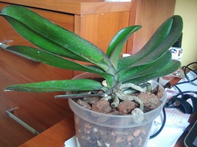 2015-08-25 10.15.11 (Kopiowanie).jpg